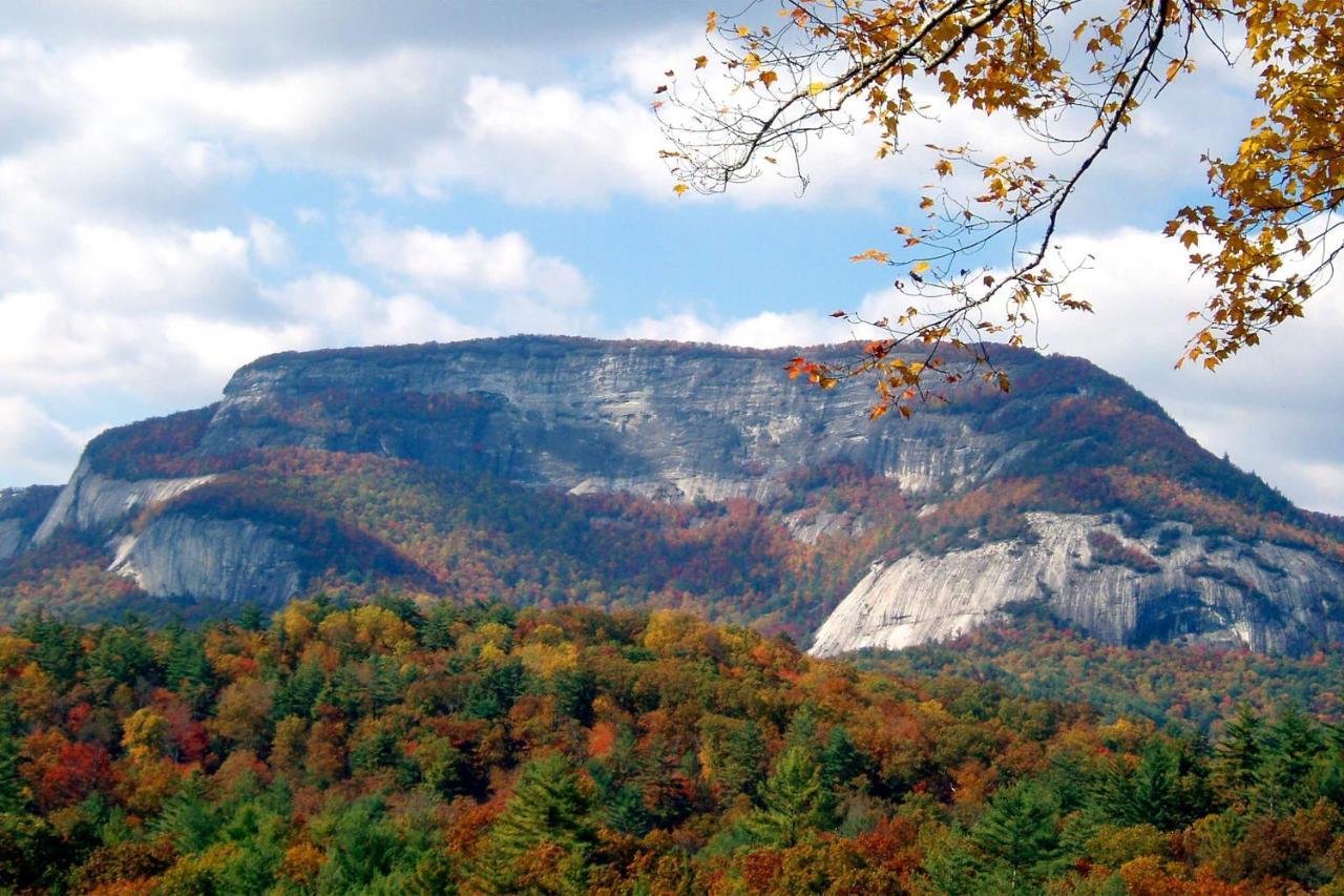 Heavenly Bearadise Cabin In Cashiers, Nc! Exterior foto